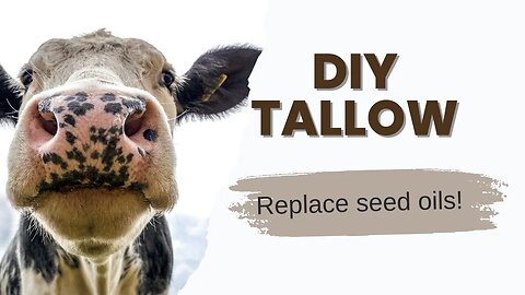 How to Make Tallow and Prep Your Pantry with Healthy Animal Fats | STOP Using SEED OILS!