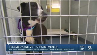 Ducey issues order allowing veterinarians to examine pets, animals through telemedicine