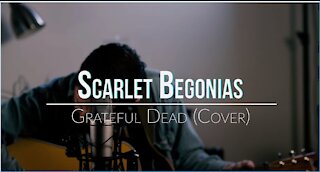 Under the Influence Singles Jake Schlegel "Scarlet Begonias" Acoustic Cov