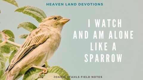 Heaven Land Devotions - I Watch And Am Alone Like A Sparrow