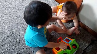 Brothers Fighting over toys