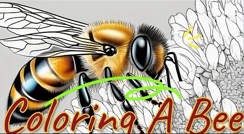 How Coloring A Honey Bee With Printable PDF Sample (All AGES)