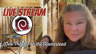 New Projects on the Homestead | Live Stream | Woman Builds Tiny House in the Woods