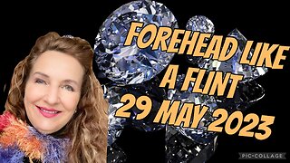 FOREHEAD LIKE A FLINT/29 May 2023