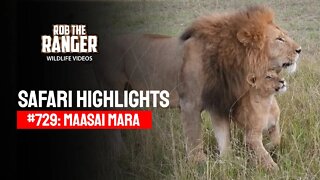 Safari Highlights #729: 06 October 2022 | Lalashe Maasai Mara | Latest Wildlife Sightings