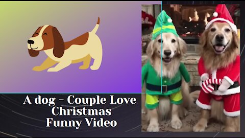 Merry Christmas - Adorable dogs