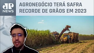 “Clima e trabalho do produtor rural causam resultado positivo do agronegócio”, diz especialista