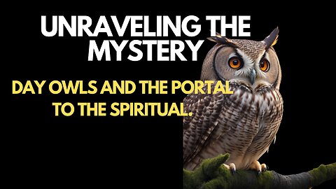 The Spiritual Meaning of Seeing an Owl in the Dayt