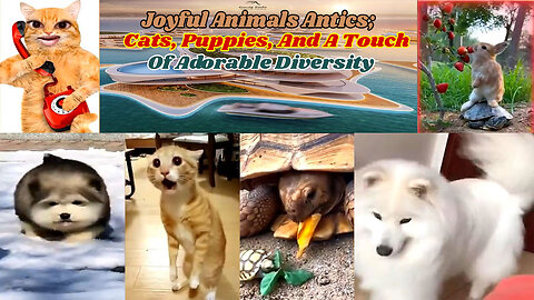 Joyful Animal Antics Cats, Puppies, and a Touch of Adorable Diversity!