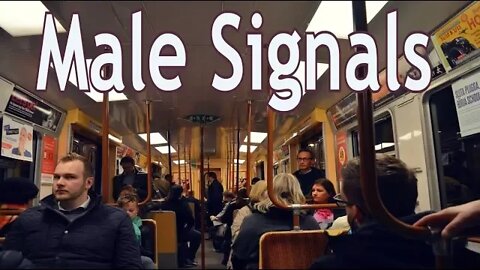 Male Signals