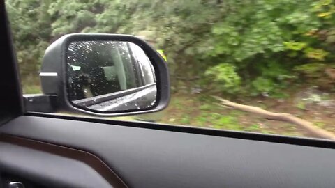 Hurricane Ian downed trees on the Blueridge Parkway