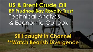US and Brent Crude Oil and BPT Technical Analysis Feb 20 2024