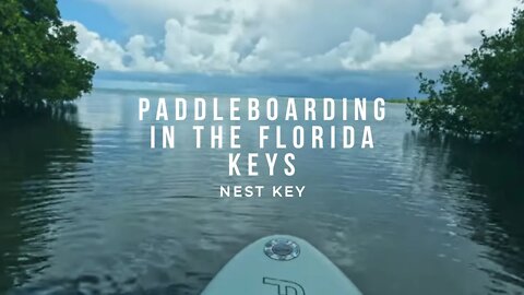 Paddleboarding in Florida Keys, Nest Key and Everglades National Park 4K