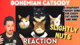 SLIGHTLY NUTS - Bohemian Catsody - A Rhapsody Parody Song for Every Cat Queen and King Reaction