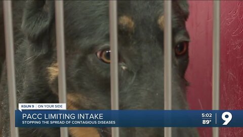 Pima Animal Care Center limits its animal intake for the next week