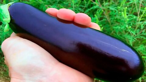 8 Excellent Reasons To Eat More Eggplants