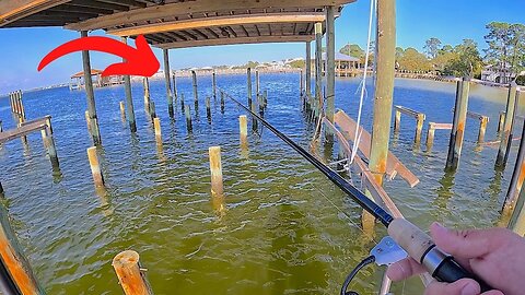 Fishing these Backyard Piers and Inshore Creeks for my Dinner!