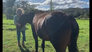 Scratches with Tuppy - her skin is taking time to heal