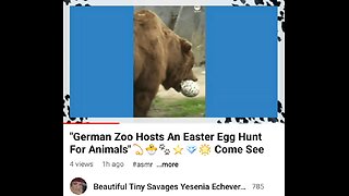 "German Zoo Hosts An Easter Egg Hunt For Animals Full Video 🐣🐰💫🎶🎼