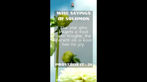 Proverbs 17:21 | NRSV Bible - Wise Sayings of Solomon