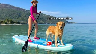 Surprising My Dog With A Seaside Vacation
