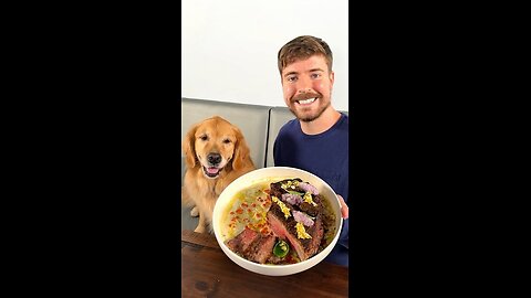 Feeding A Dog $1 vs $10,000 Steak