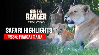 Safari Highlights #534: 14 & 15 December 2019 | Maasai Mara/Zebra Plains | Latest Wildlife Sightings