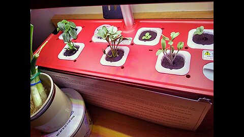 iDOO Hydroponics Growing System, Indoor Garden Starter Kit with LED Grow Light, Automatic Timer...