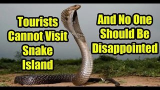 Tourists Cannot Visit Snake Island AND NO ONE SHOULD BE DISAPPOINTED