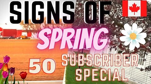 50 SUBSCRIBER Special!! II Signs of Spring 🇨🇦 II Celebrating 50 Subscribers