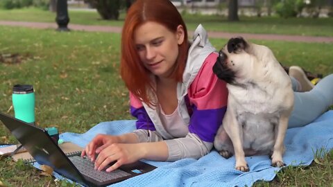 Girl laying and typing on laptop on a lawn with her pug around