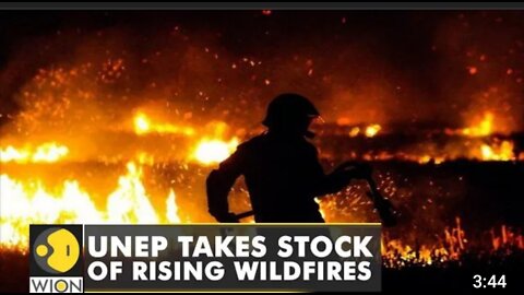 UNEP: Extreme wildfires here to stay and multiply | Changing trend in cooler environments