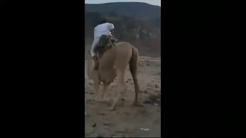 Crazy Arabic Funny video