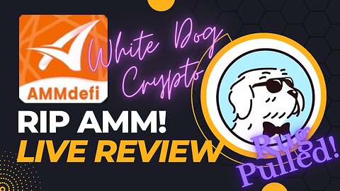 AMM Defi Day 21 - Is AMMDefi a scam? Another Big Update! - RIP AMM Rug Pull