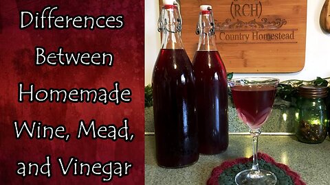 Differences Between Making Wine, Mead, Vinegar, and More