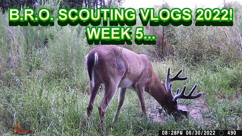 B.R.O. Scouting vlogs 2022! Week 5... Happy Independence Day!!