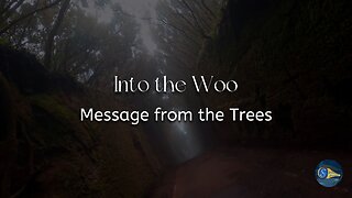 Into the Woo - Message from the Trees