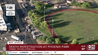 Death investigation at Phoenix park