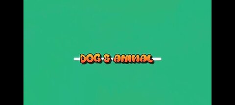 Fanny animal dogs video