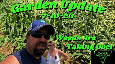 Garden Update 7-10-23