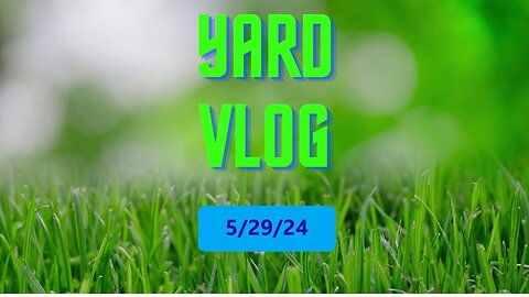 Yard Vlog 5/29/24