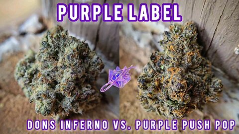 BATTLE OF THE PURPLE LABELS! JKDISTROS DONS INFERNO VS PURPLE PUSH POP