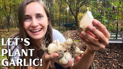 Plant Garlic with Me!