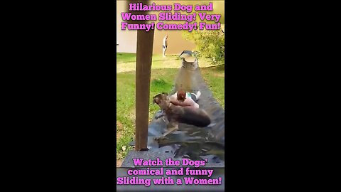 Hilarious Dog and Women Sliding! Very Funny! Comedy! Fun!