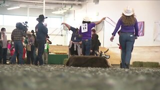 Exceptional Rodeo shows children of all abilities how special animals can be