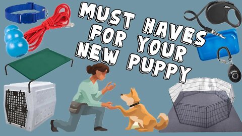 Must Have Items For Your New Puppy