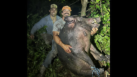 GIANT Georgia Barr Hog Caught With Dogs