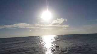 December 12, 2019 at Whitehead Spit, Key West, Florida.