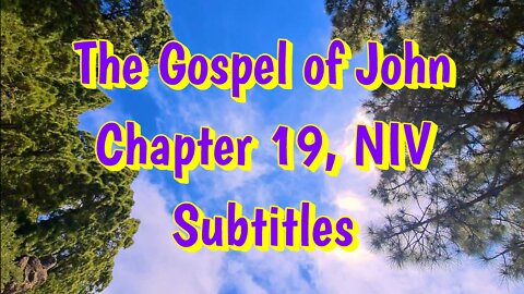 The Holy Bible - The Gospel of John Chapter 19 (Audio Bible - NIV) subtitles