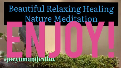 Beautiful Relaxing Healing Nature Med